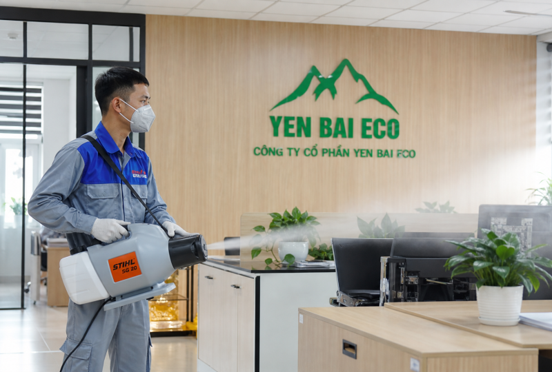 Quy Trình Phun Thuốc Diệt Muỗi Cho Cơ Quan & Doanh Nghiệp Tại Yên Bái